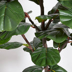 Artificial Fiddle Leaf Fig Tree with Artisan Planter