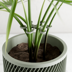 Climbing Plant Stem Support Stakes from Modernized Pottery