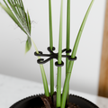 Climbing Plant Stem Support Stakes from Modernized Pottery