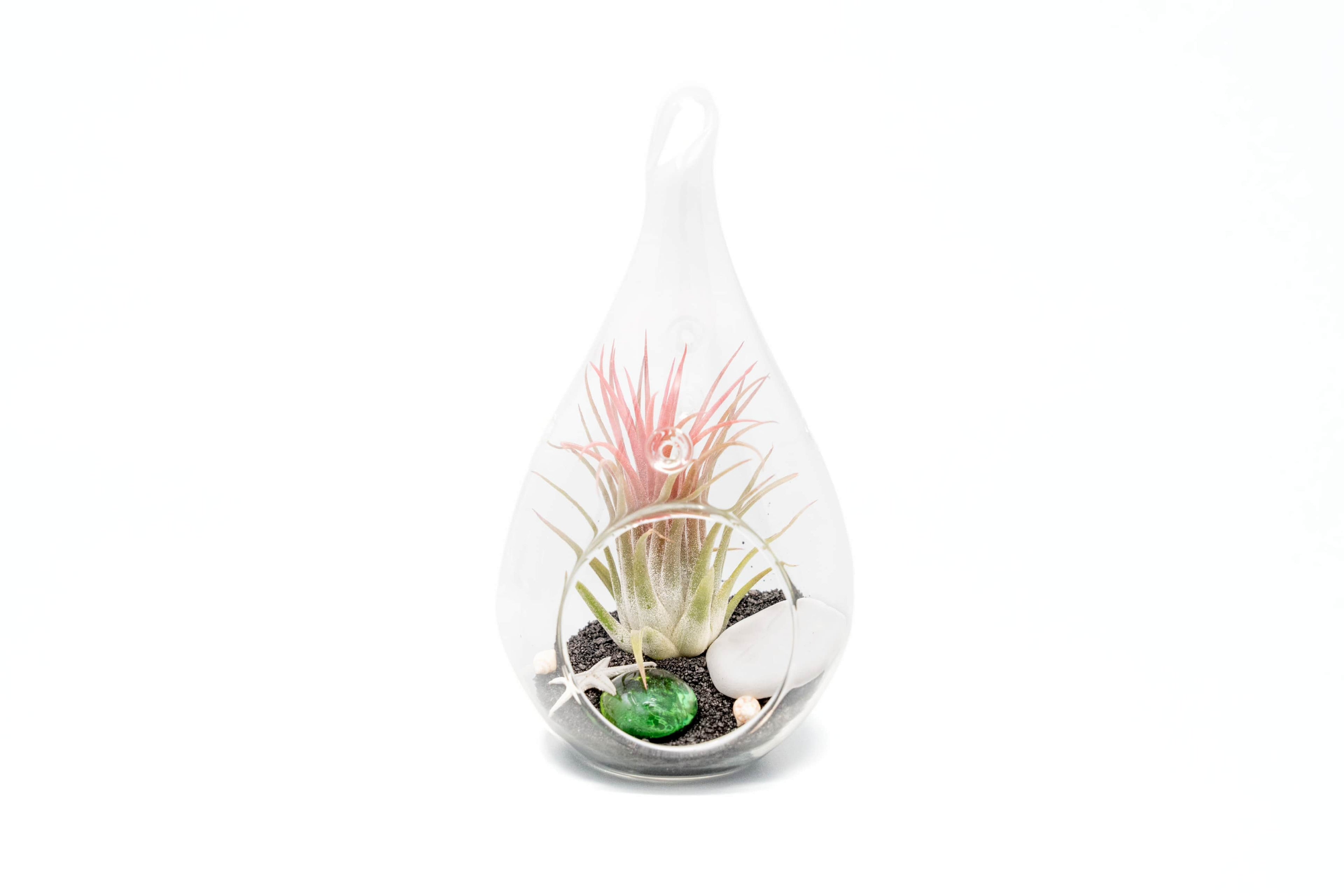 Set of 3 Teardrop Beach Terrariums with Black Sand