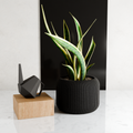 Orbis Planter from Modernized Pottery