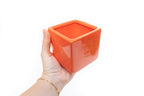 Naranja Orange Ceramic Cube Container with Custom Tillandsia Air Plant