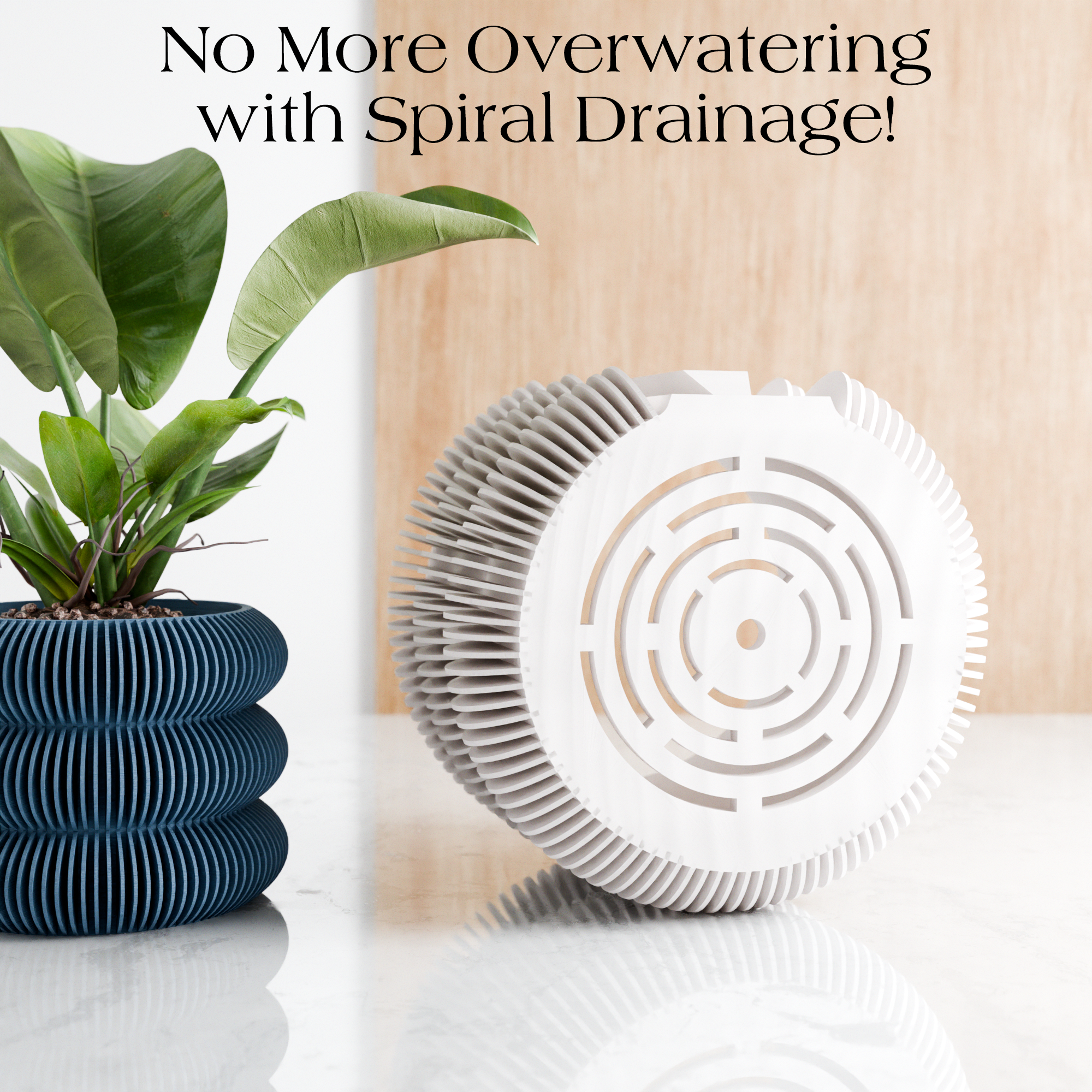 Wall Planter - Triple Bubbles Planter from Modernized Pottery