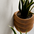 Wall Planter - Triple Bubbles Planter from Modernized Pottery