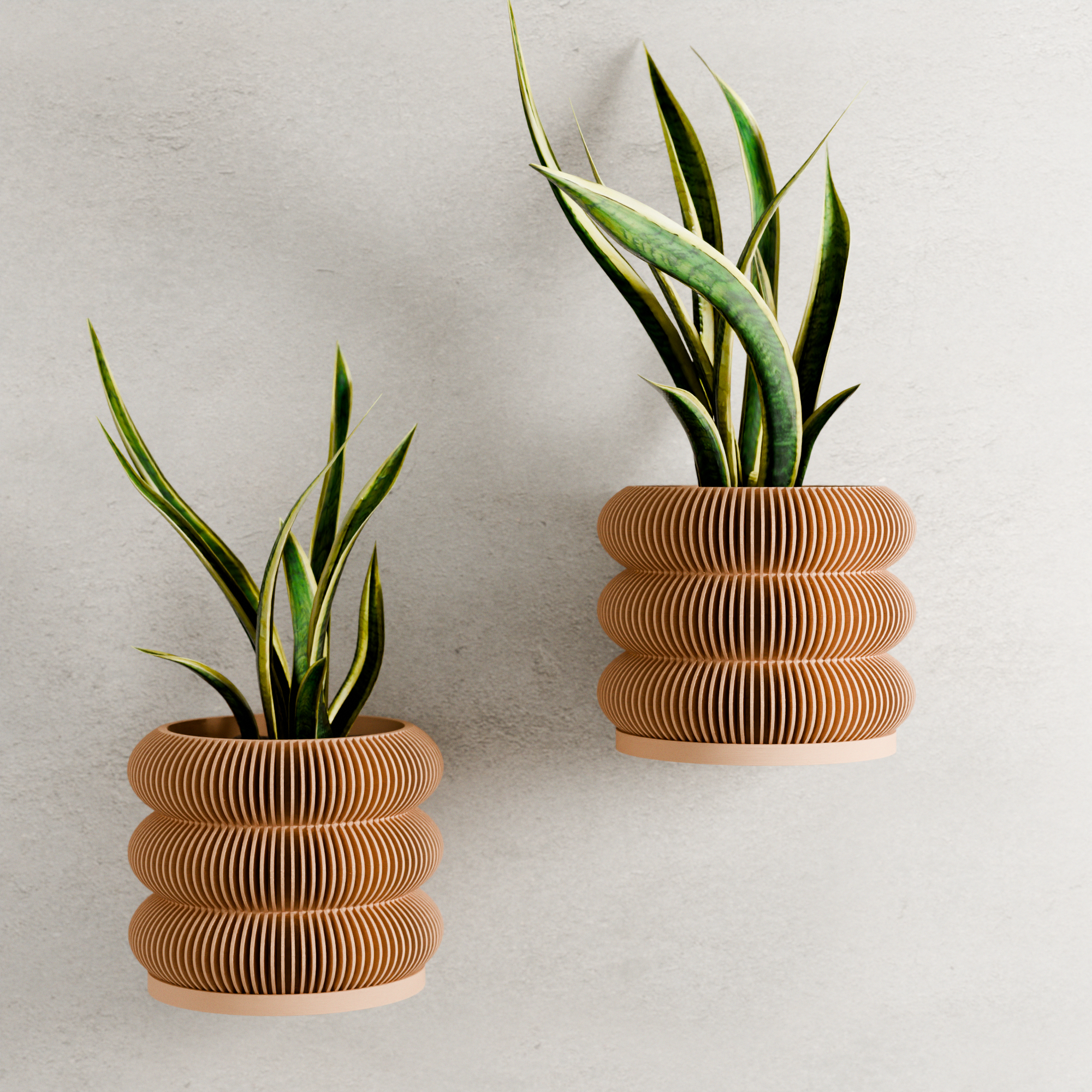 Wall Planter - Triple Bubbles Planter from Modernized Pottery