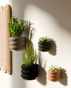 Wall Planter - Triple Bubbles Planter from Modernized Pottery