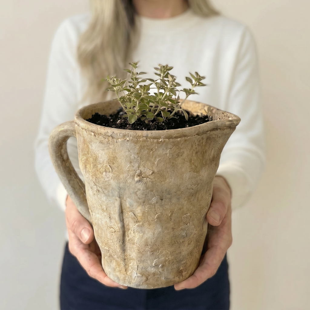 Valencia Carafe-Style Cement Planter, Hand-Painted in Aged White or Aged Terracotta, 8.5"D x 7"H