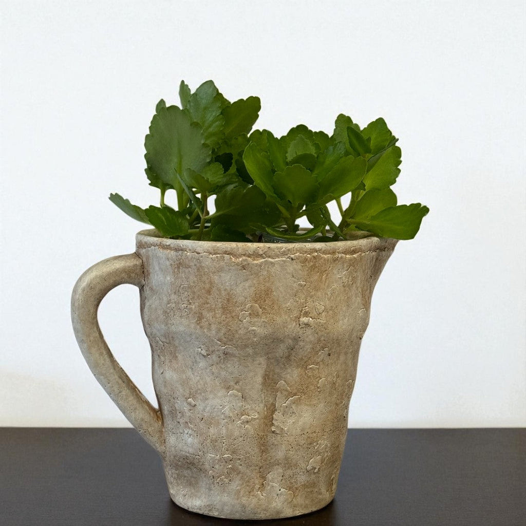 Valencia Carafe-Style Cement Planter, Hand-Painted in Aged White or Aged Terracotta, 8.5"D x 7"H