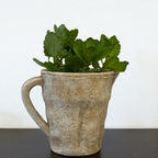 Valencia Carafe-Style Cement Planter, Hand-Painted in Aged White or Aged Terracotta, 8.5"D x 7"H