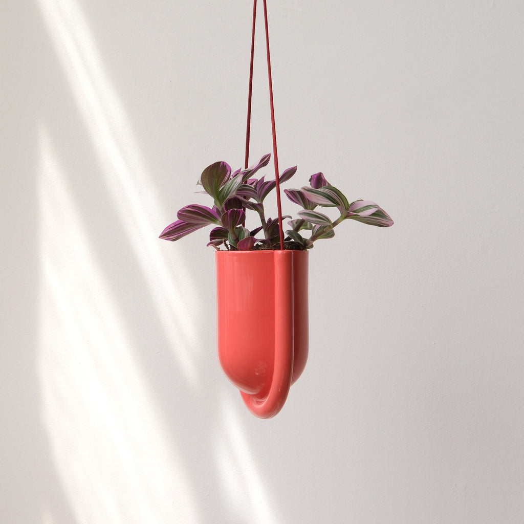 minimalist hanging planter in a kitchen window