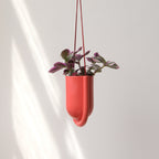 minimalist hanging planter in a kitchen window