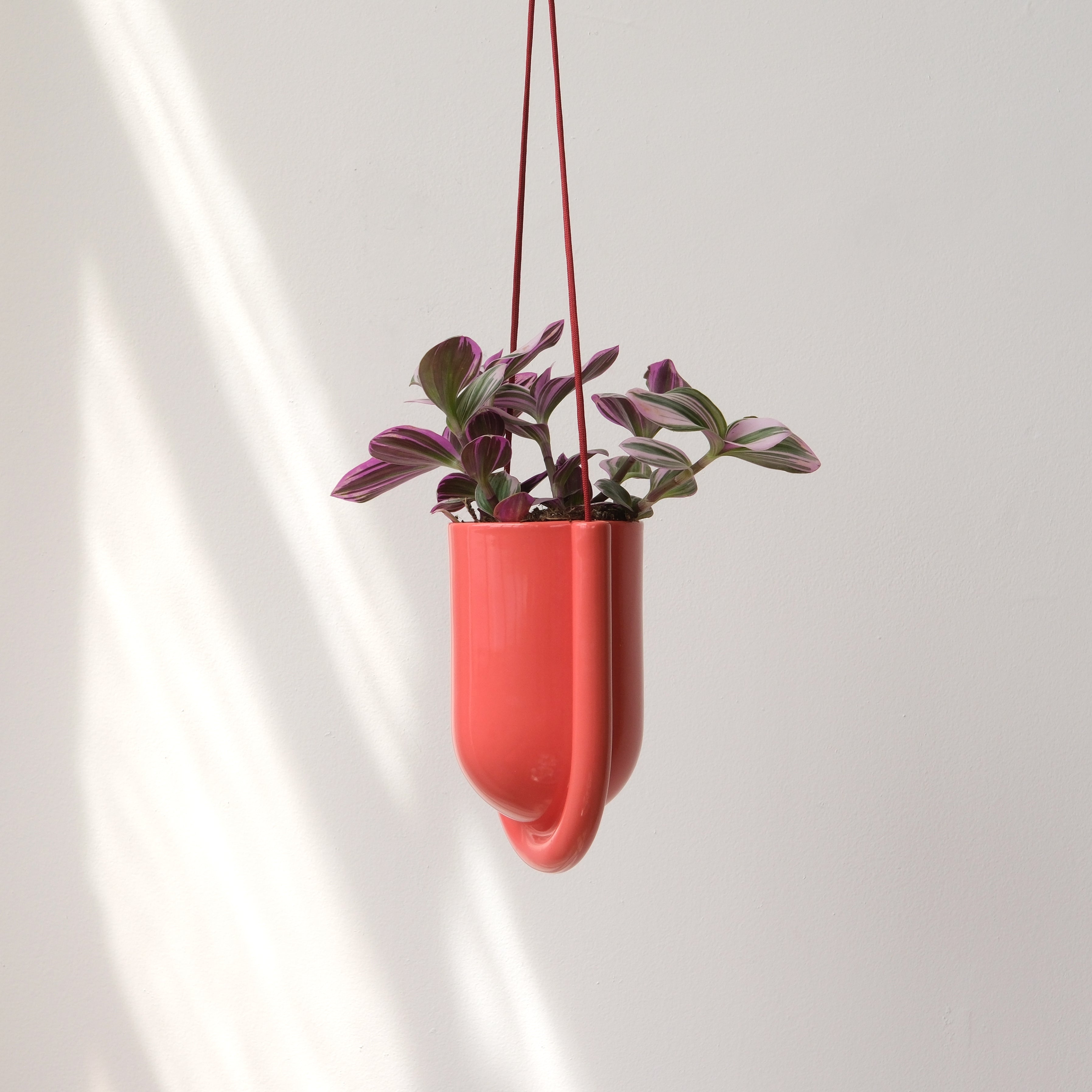 minimalist hanging planter in a kitchen window