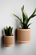 Hanging Stream Wall Planter from Modernized Pottery