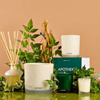 Wild Mint and Ivy Classic Candle