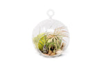 Set of 2 Stunning Hanging Glass Terrariums with Flat Bottoms
