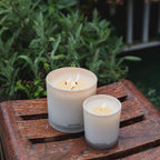 Wild Mint and Ivy 3-Wick Candle