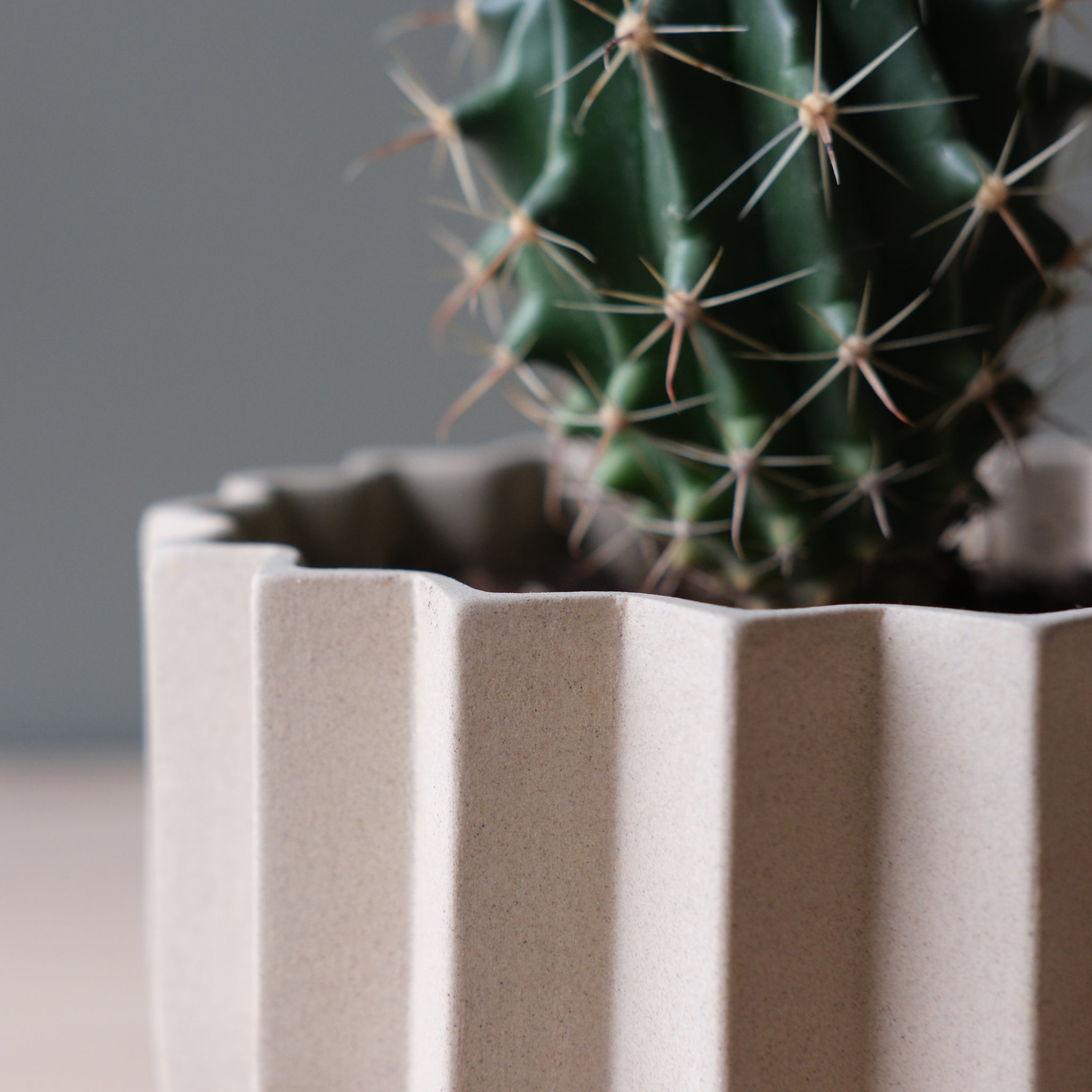 Wrap planter in dune glaze