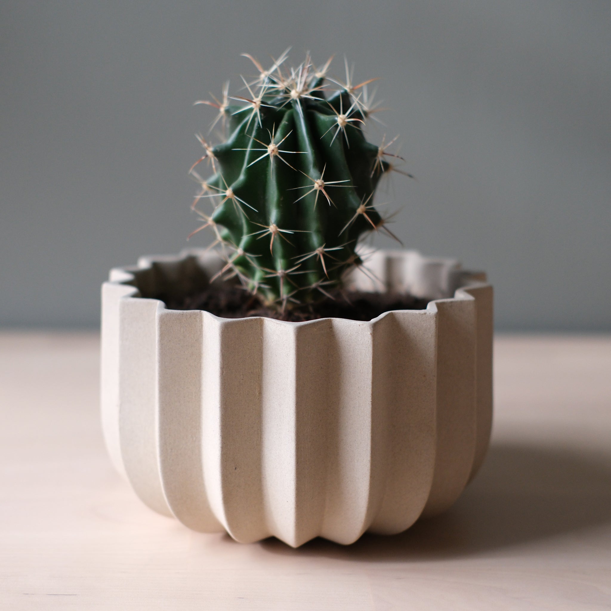 Wrap planter 4-inch size detail