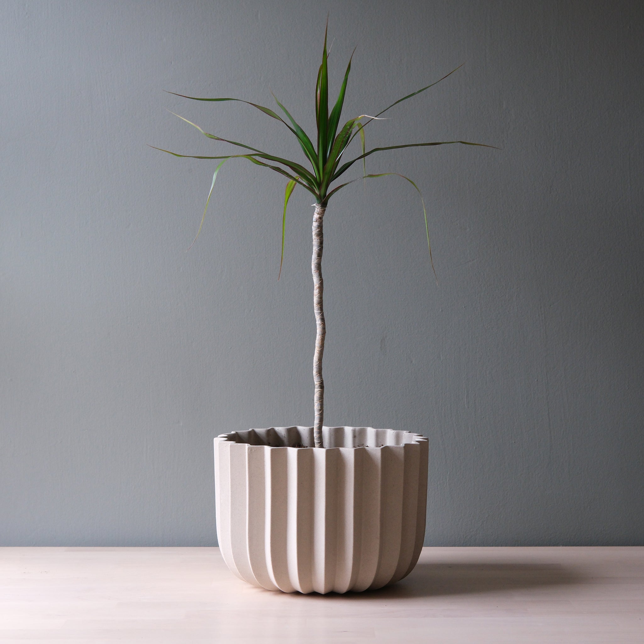Wrap planter in black glaze