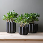 ridged ceramic planter by Misewell