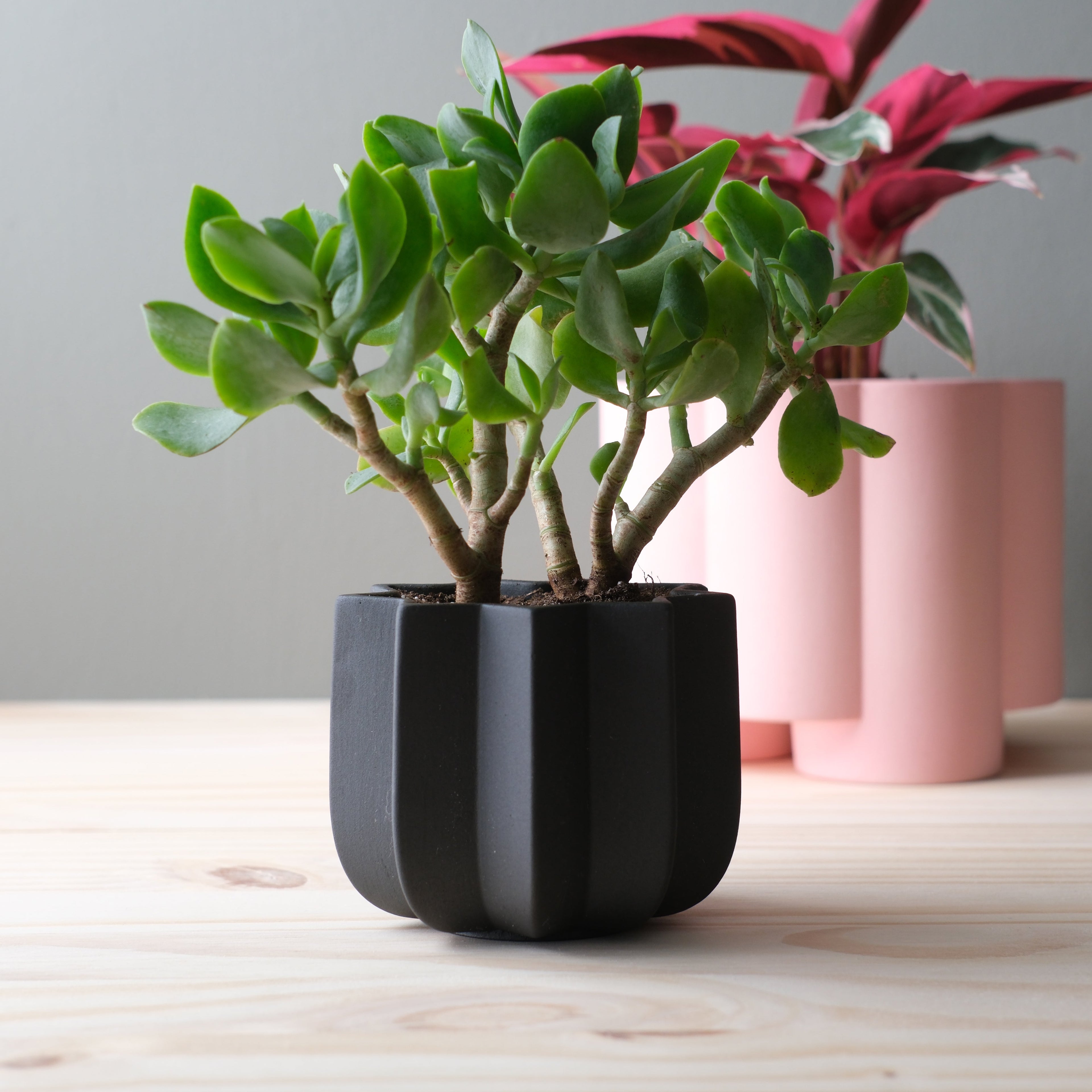 ridged ceramic planter by Misewell