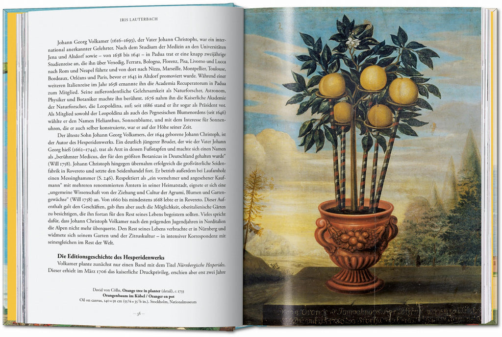 J. C. Volkamer. The Book of Citrus Fruits. 45th Ed. (German, French, English)