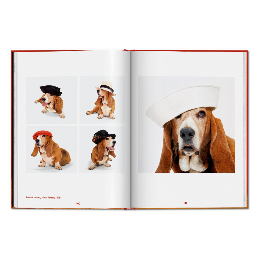 Walter Chandoha. Dogs. Photographs 1941–1991 (English)