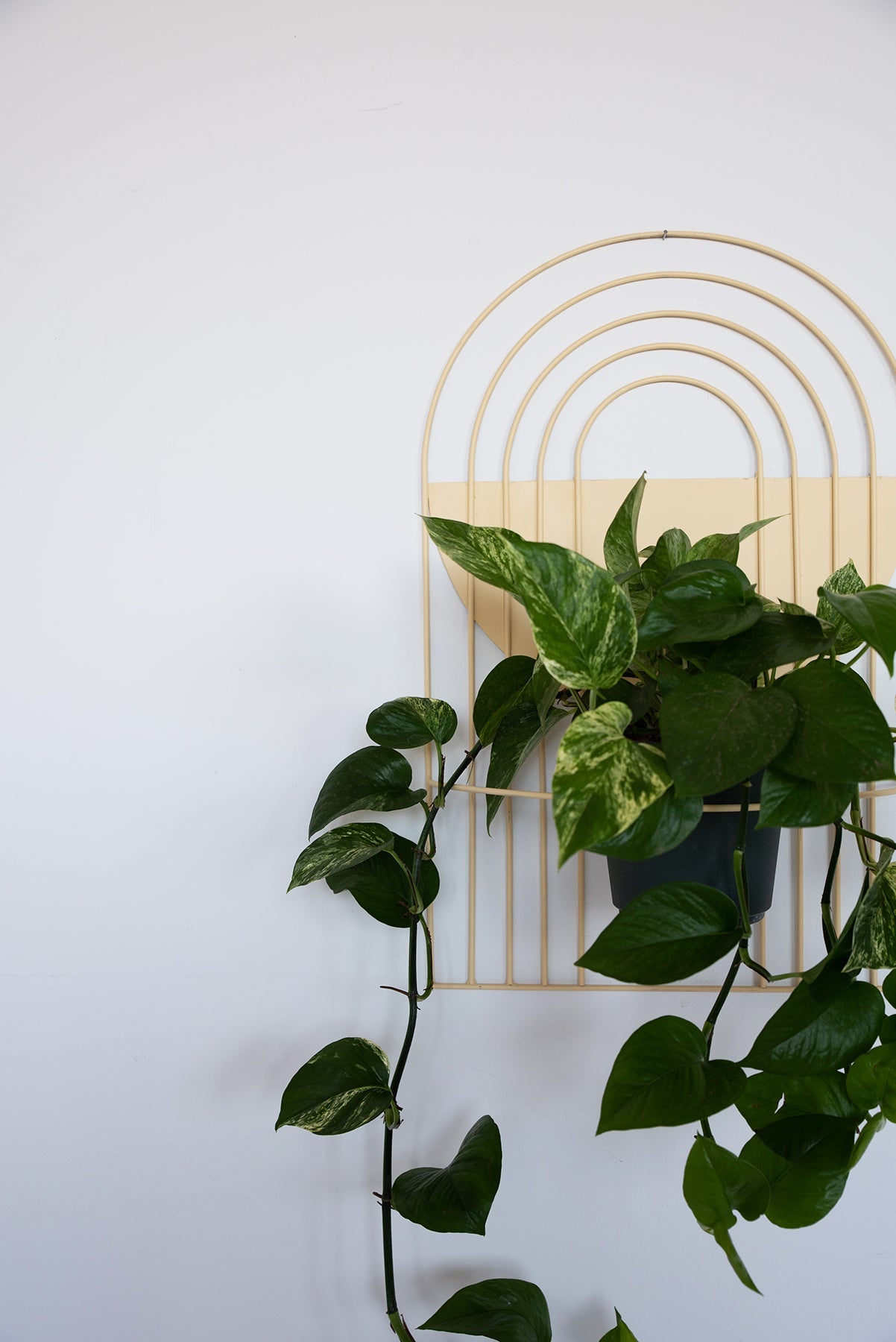 Arches Wall Planter