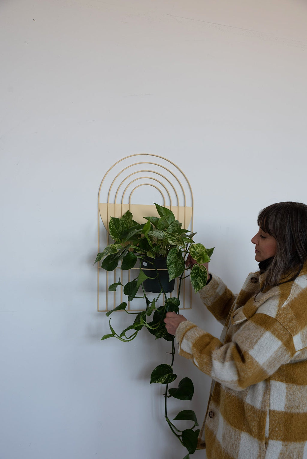 Arches Wall Planter