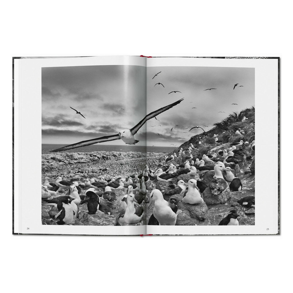 Sebastião Salgado. Genesis (English)