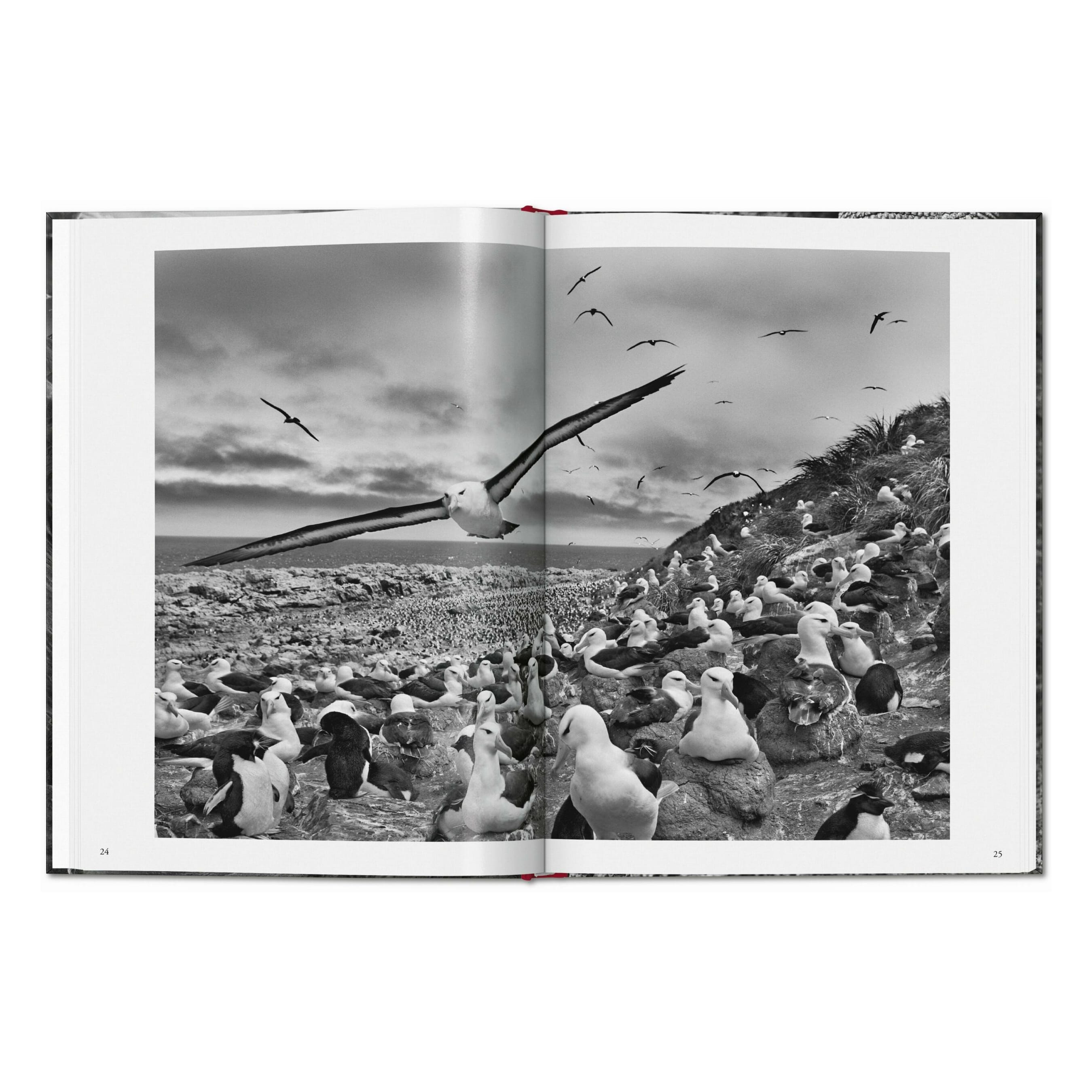 Sebastião Salgado. Genesis (English)