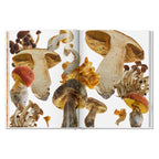 The Gourmand's Mushroom. A Collection of Stories and Recipes (English)