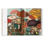 The Gourmand's Mushroom. A Collection of Stories and Recipes (English)
