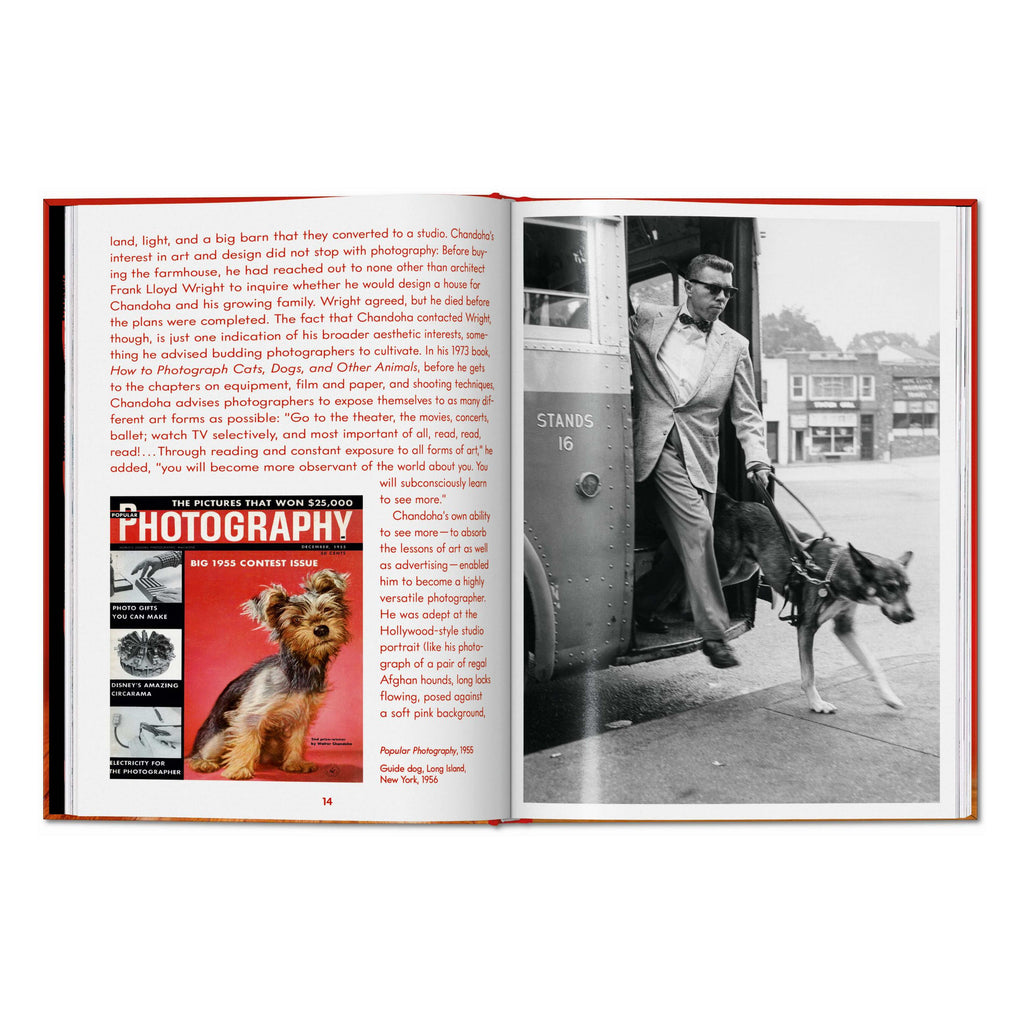 Walter Chandoha. Dogs. Photographs 1941–1991 (English)