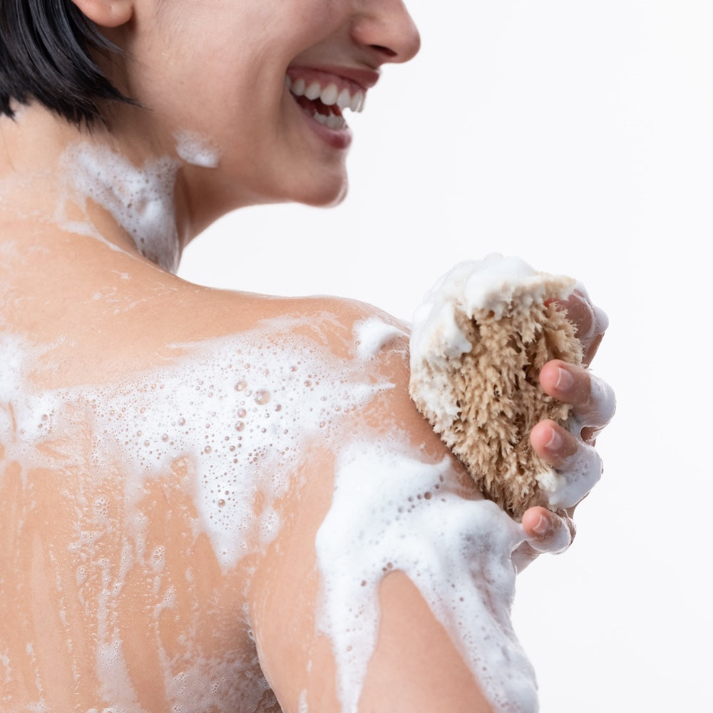 Natural Grass Sea Sponge