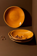Stoneware Dinner Plate