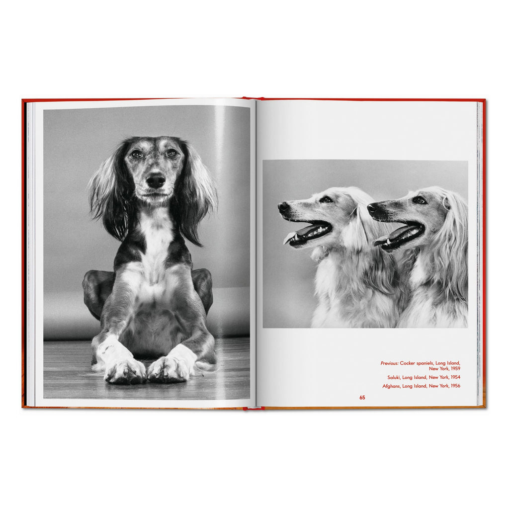 Walter Chandoha. Dogs. Photographs 1941–1991 (English)