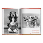Walter Chandoha. Dogs. Photographs 1941–1991 (English)