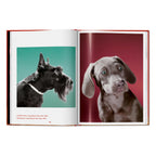 Walter Chandoha. Dogs. Photographs 1941–1991 (English)