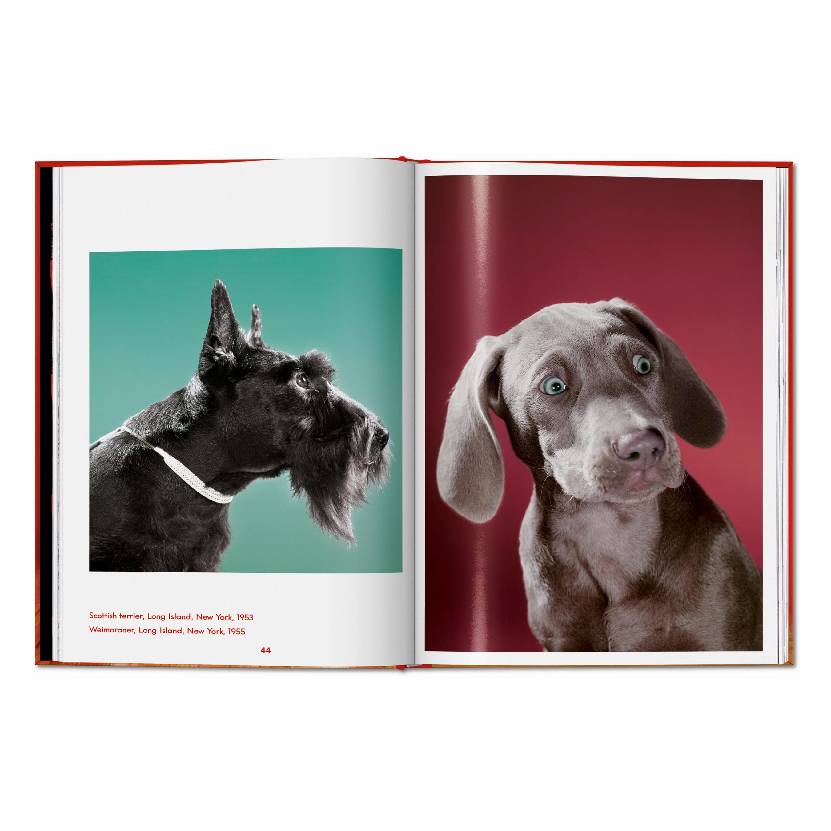 Walter Chandoha. Dogs. Photographs 1941–1991 (English)