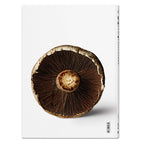 The Gourmand's Mushroom. A Collection of Stories and Recipes (English)