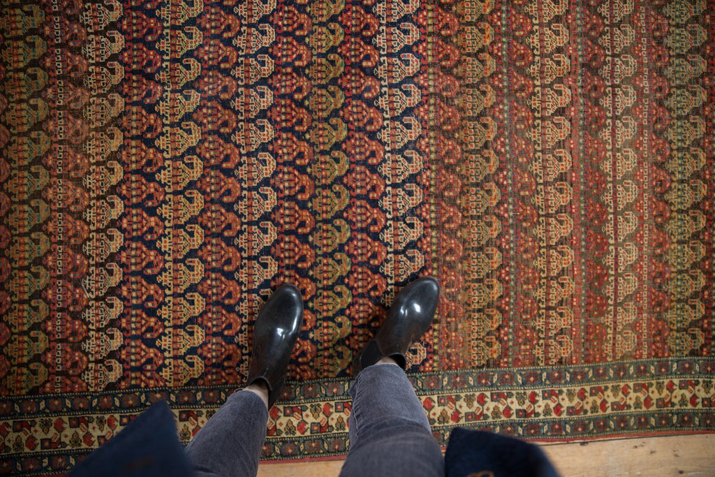 Full overhead view of Bijar carpet 5.5x9