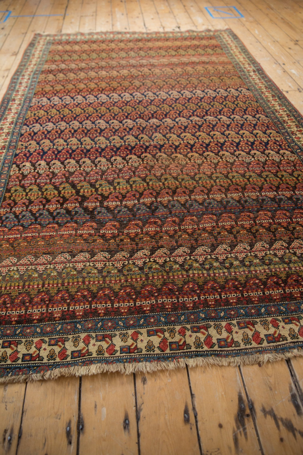 Rolled view showing overall scale