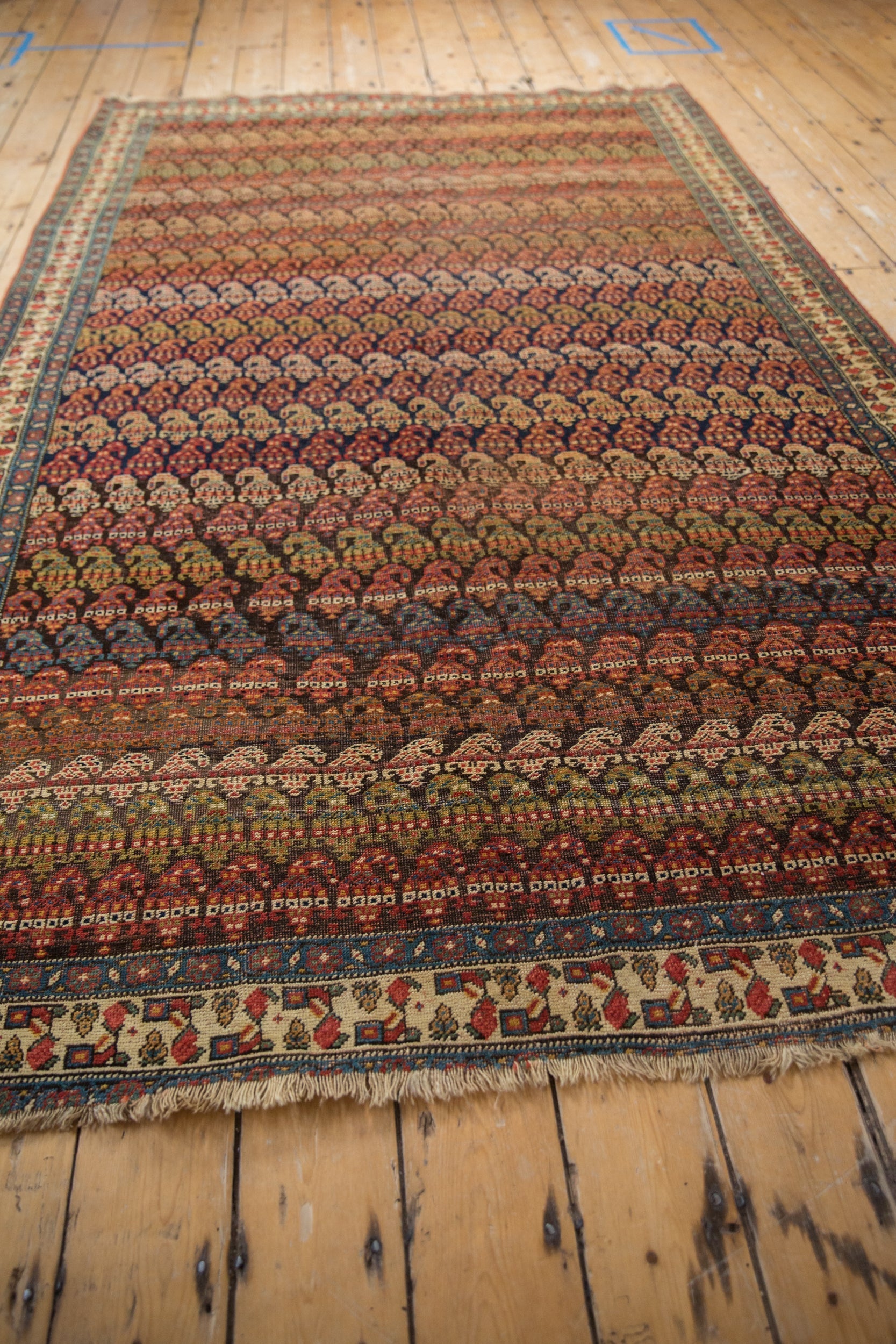 Rolled view showing overall scale