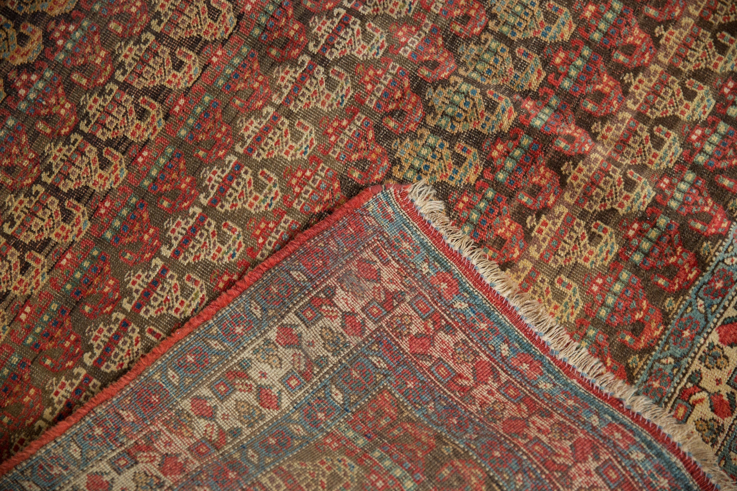 Full overhead view of Bijar carpet 5.5x9
