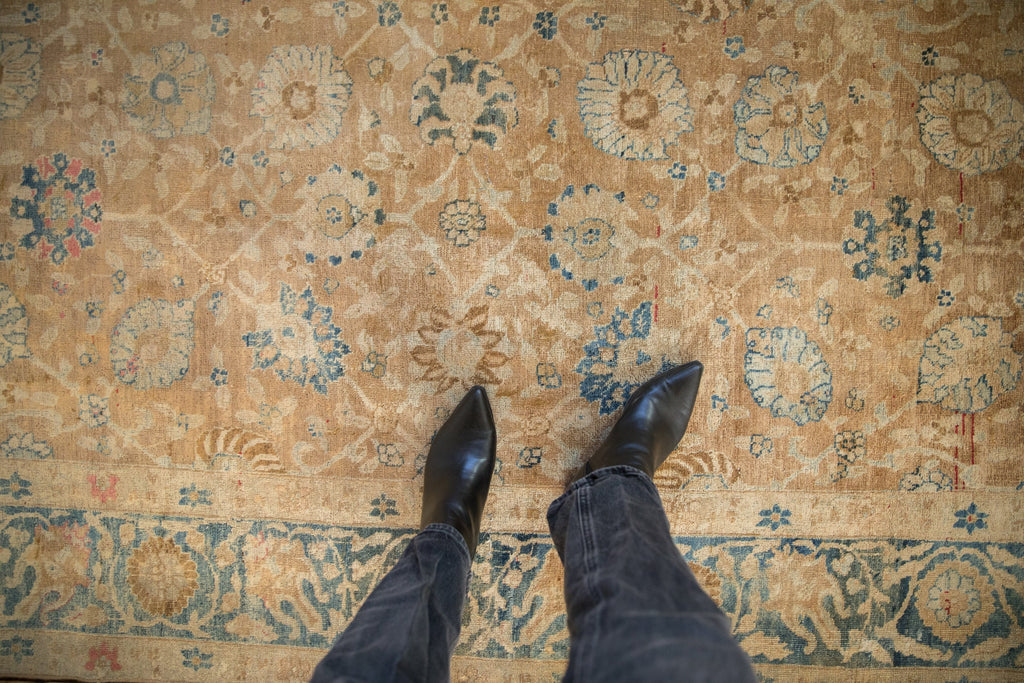Full overhead view of Gold Wash Khoy carpet 7x11