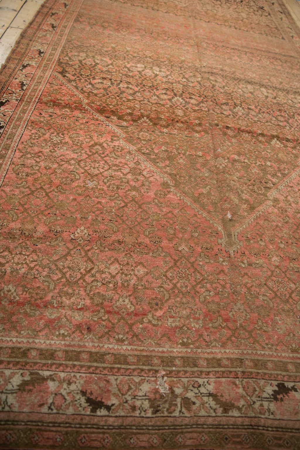 Rolled view showing overall scale