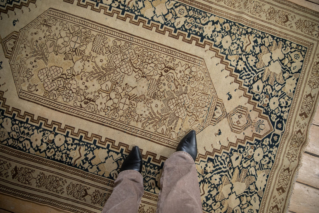 Full overhead view of Malayer rug 4.5x6.5