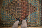 Full overhead view of Hamadan rug 4x5.5