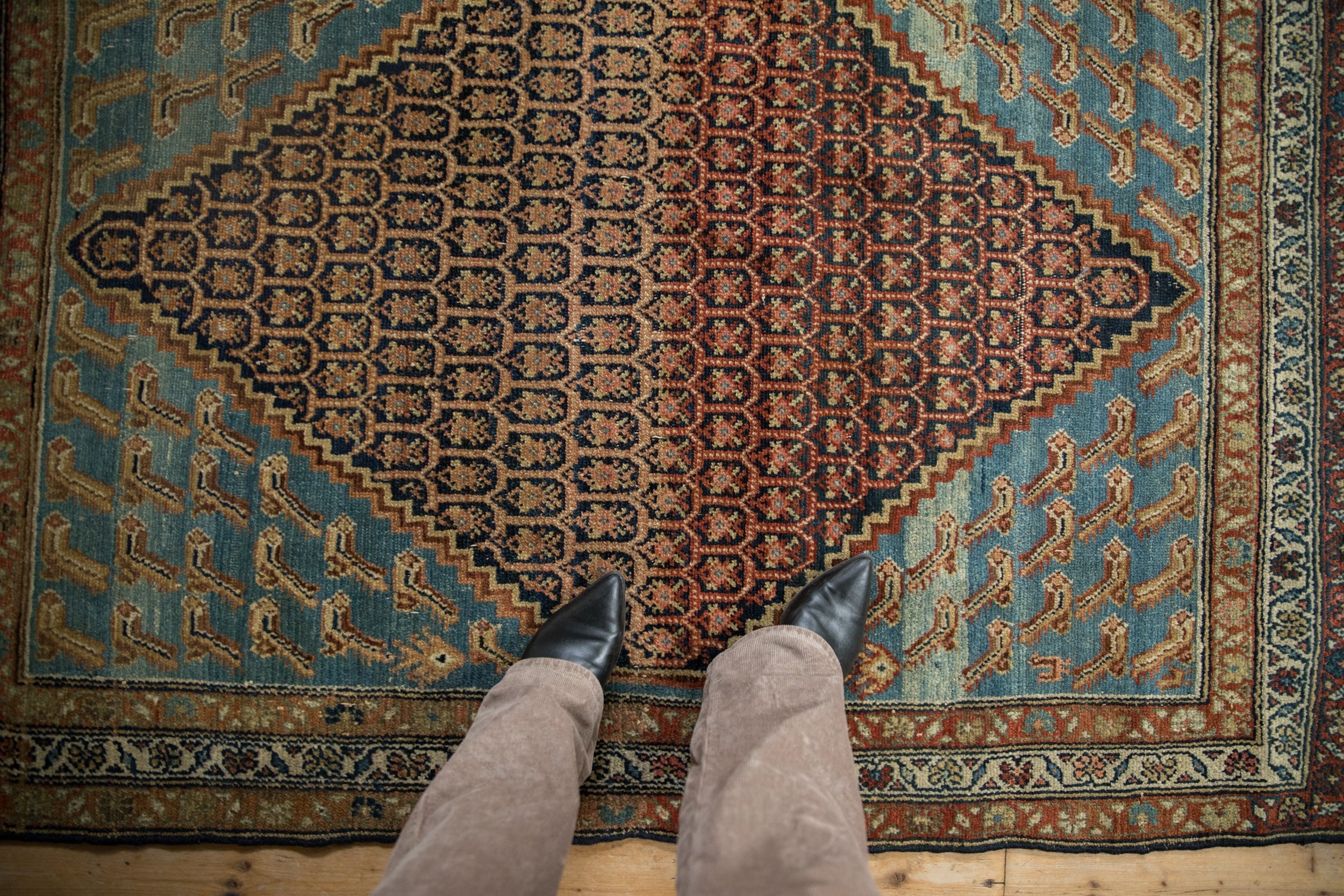 Full overhead view of Hamadan rug 4x5.5